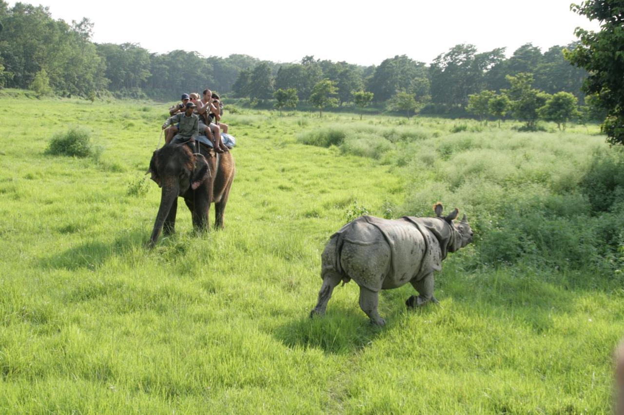 Park Safari Resort Sauraha Luaran gambar